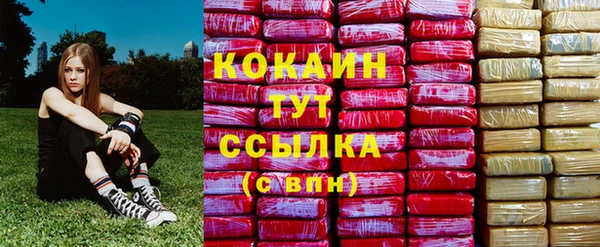дживик Абинск