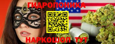 шишки Краснознаменск