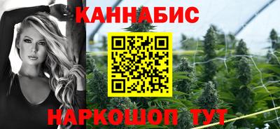 шишки Краснознаменск