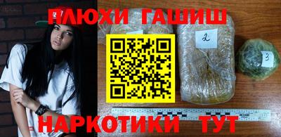 прущие грибы Вышний Волочёк