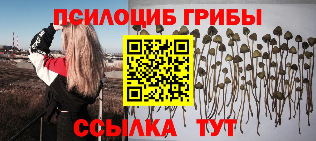 Галлюциногенные грибы GOLDEN TEACHER Назрань