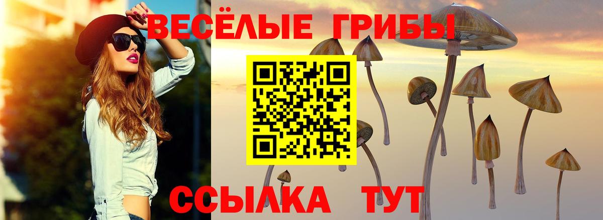 Назрань  Псилоцибиновые грибы мухоморы  Вход с VPN 
