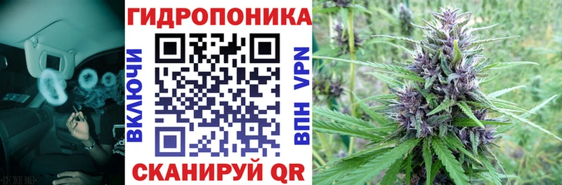 сколько стоит  Назрань  Канабис гибрид 